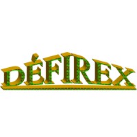 DĖFIREX, Développement, Finances & Ingénierie - Réalisation - Exploitation logo - Similar company to Sethin Energy Mining Industry