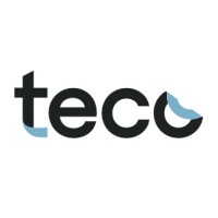 TECO Group SpA logo - Similar company to Gauss Control