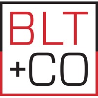 BLT + CO logo - Similar company to Bytestream Information Communication Technology