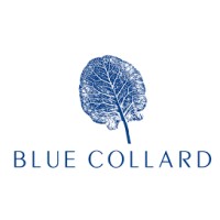 Blue Collard