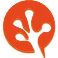 Gestiscifacile Srl logo - Similar company to Sysvision