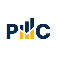 Pan Business Consulting