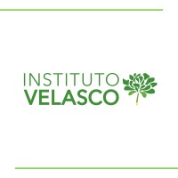 Instituto Velasco logo - Similar company to Cão Véio
