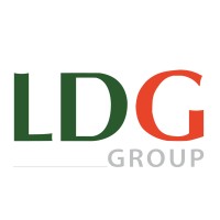 LDG Group logo - Similar company to Plug Group Limited