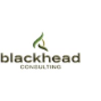 Blackhead Consulting
