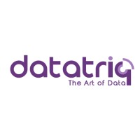datatriq logo - Similar company to Proda | Provider Of Digital Applications
