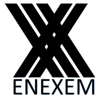 ENEXEM logo - Similar company to Mickiesoft