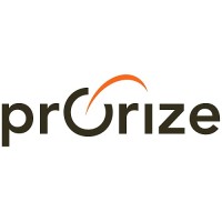 Prorize LLC logo - Similar company to Priorize