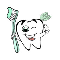Fresh Dental Shadowing logo - Similar company to Cerca Abroad