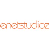 ENETSTUDIOZ INC logo - Similar company to Analytics Domain