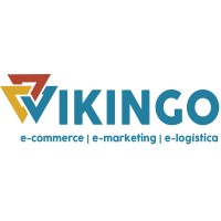 VIKINGO logo - Similar company to Vikingo