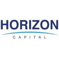 Horizon Capital - Financial & Corporate Solutions logo - Similar company to Gdsvm | Grupo De Pesquisa De Direito Das Sociedades E Dos Valores Mobiliários
