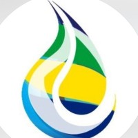 Rede Bandeira - Postos de Combustível logo - Similar company to Rede De Postos 3000 Ltda
