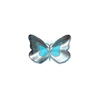 ART INTENTION logo - Similar company to Captain Forest