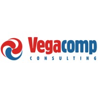 Vegacomp Consulting logo - Similar company to Thetys Pumps Srl
