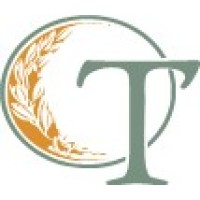 OliveTree Accounting Inc. logo - Similar company to Fz Consultancy