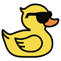 DUCK SRL logo - Similar company to Nodo Studio