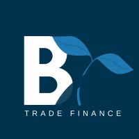 Bridge Structured Capital Networks | Bridge Trade Finance logo - Similar company to Neural Networks Capital