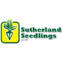Sutherland Seedlings logo - Similar company to Twk Sunshine Seedling Services