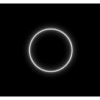 Black Circle Society logo - Similar company to Jason Mitchell Group Relocation