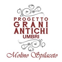 GRANI ANTICHI UMBRI logo - Similar company to Storie Di Puglia