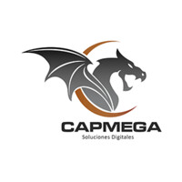 Capmega logo - Similar company to Advantage Team