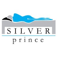 Silver Prince srl logo - Similar company to Seel Project