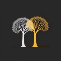 Valinor Consulting logo - Similar company to Dot Square Lab