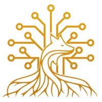 VISLYS SYSTEMS INC. logo - Similar company to Soft9
