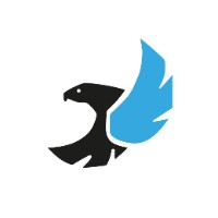 Drone Process logo - Similar company to Lightwings
