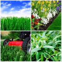 Atlanta Lawn Care Services, Inc. logo - Similar company to D. Mack Lawn Care Services, Llc