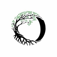 Beyond Wealth logo - Similar company to Beyond Wealth Advisors