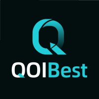 QOIBest logo - Similar company to Rio Data