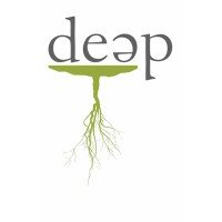 Disruptive Equity Education Project logo - Similar company to Bikomeye™