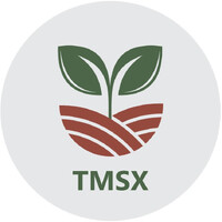 TMSX logo - Similar company to Linkit Pt.