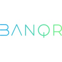 BANQR Digital Solutions GmbH logo - Similar company to Ebmeyer Consulting