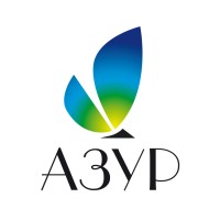 АЗУР все для творчества logo - Similar company to Bigom
