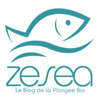 Entreprise personnelle Anthony Leydet logo - Similar company to Decommedia