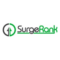 Surge Rank logo - Similar company to Traffic Masters