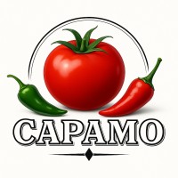 CAPAMO logo - Similar company to Aims-Digital