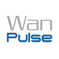 Wanpulse logo - Similar company to Datasphere It Solutions Ltd.