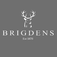 Brigdens logo - Similar company to Essence In Motion