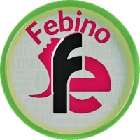 Febino logo - Similar company to Orange Abasan Private Limited