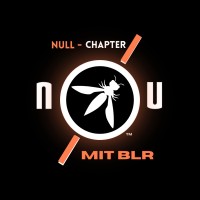 NULL-MIT BLR logo - Similar company to Null