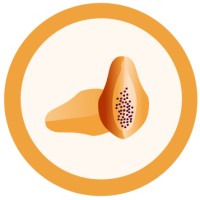 Sympa Health logo - Similar company to Tycho Medlink