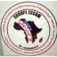 GROUPE CECAM CONSULTING logo - Similar company to Women Of Sciences Initiative In Chad -Wosic