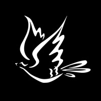 DearTime logo - Similar company to Vsure Group
