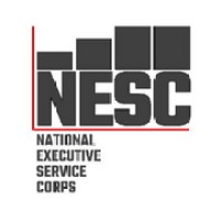 National Executive Service Corps logo - Similar company to Sarndipity Solutions