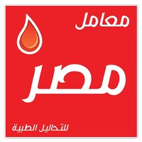 Masr Labs logo - Similar company to Id Lab