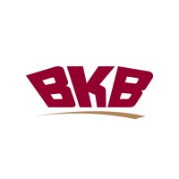 BKB Ltd logo - Similar company to Vkb Group